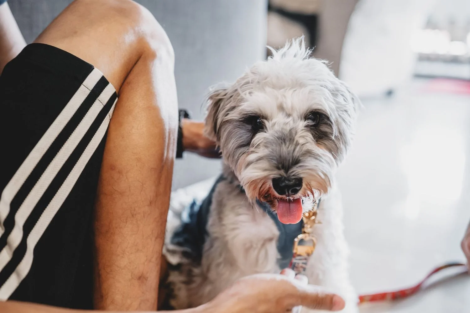 E & S wedding photo 59