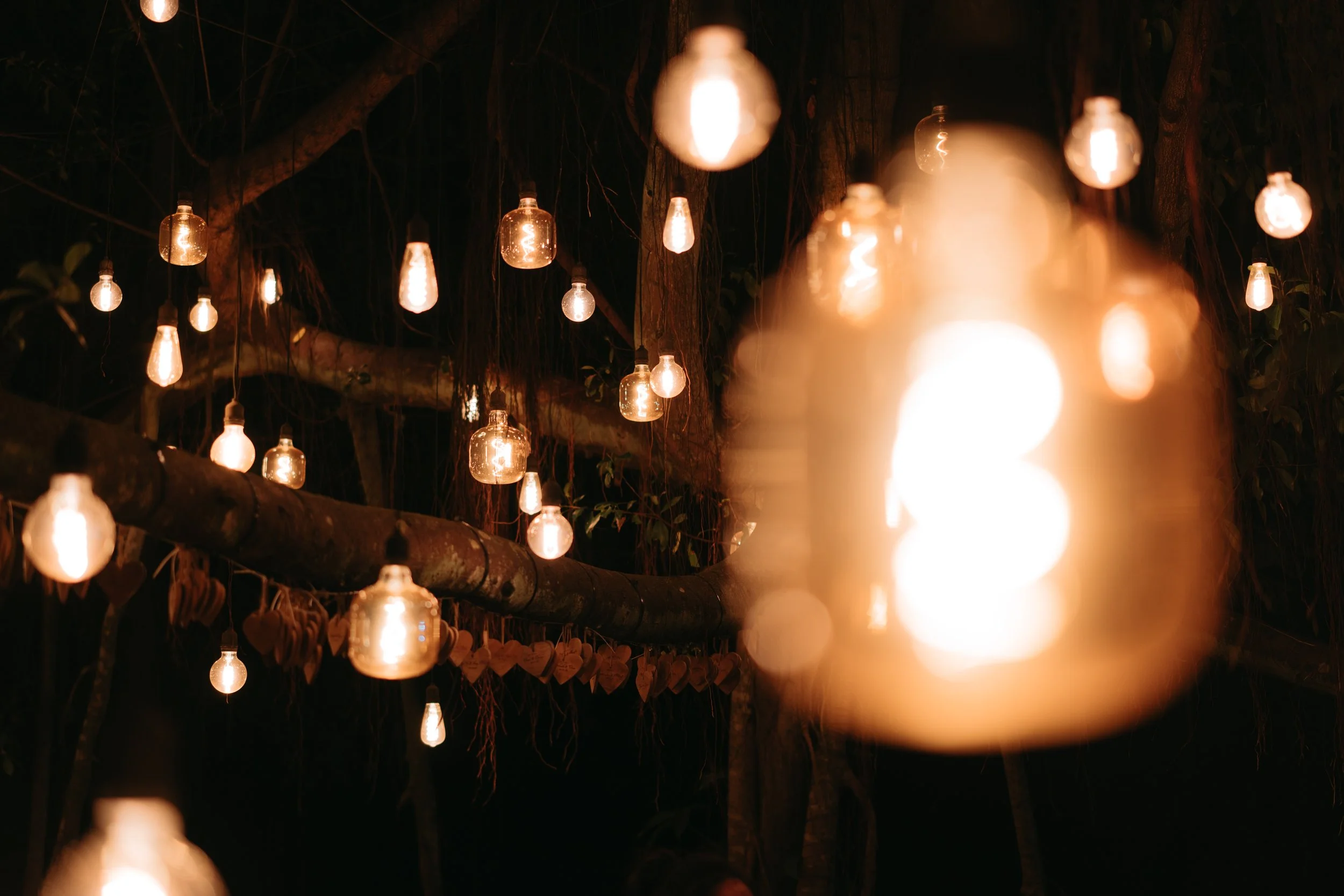 D & I wedding photo 127