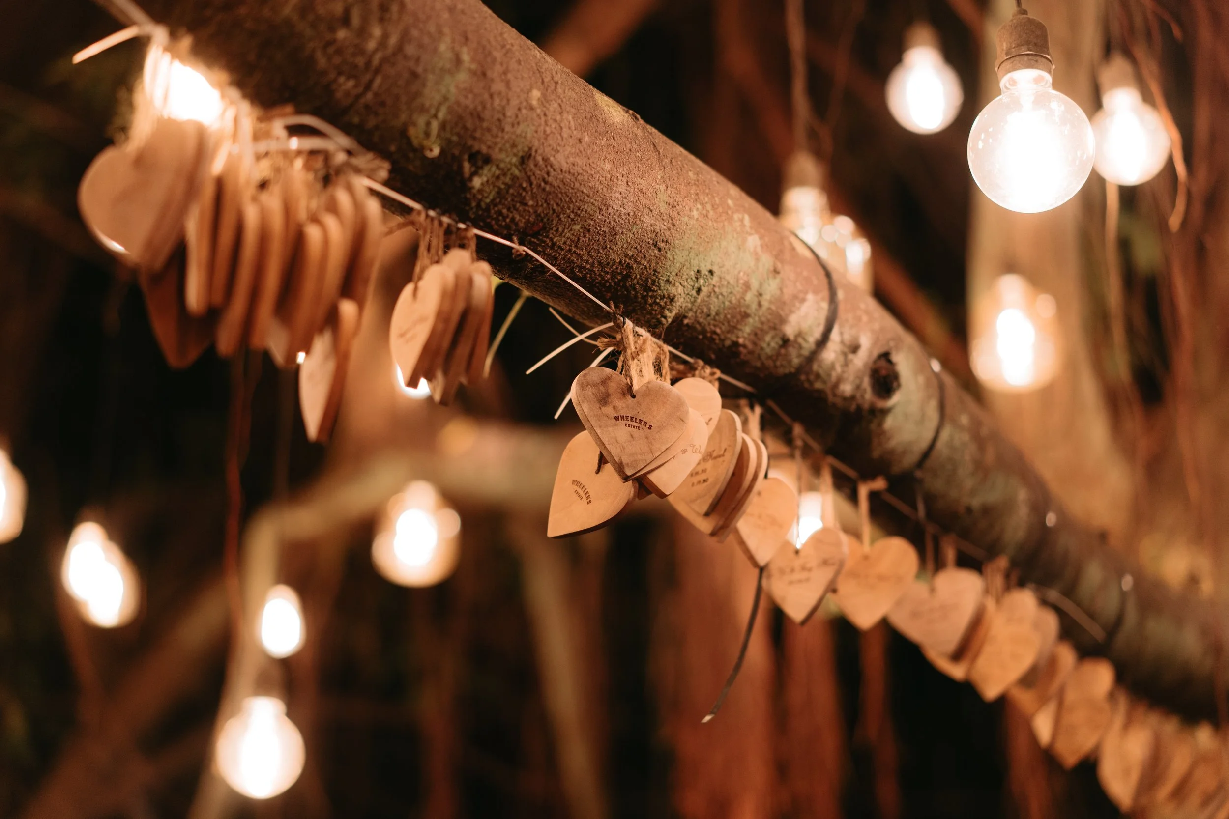 D & I wedding photo 128