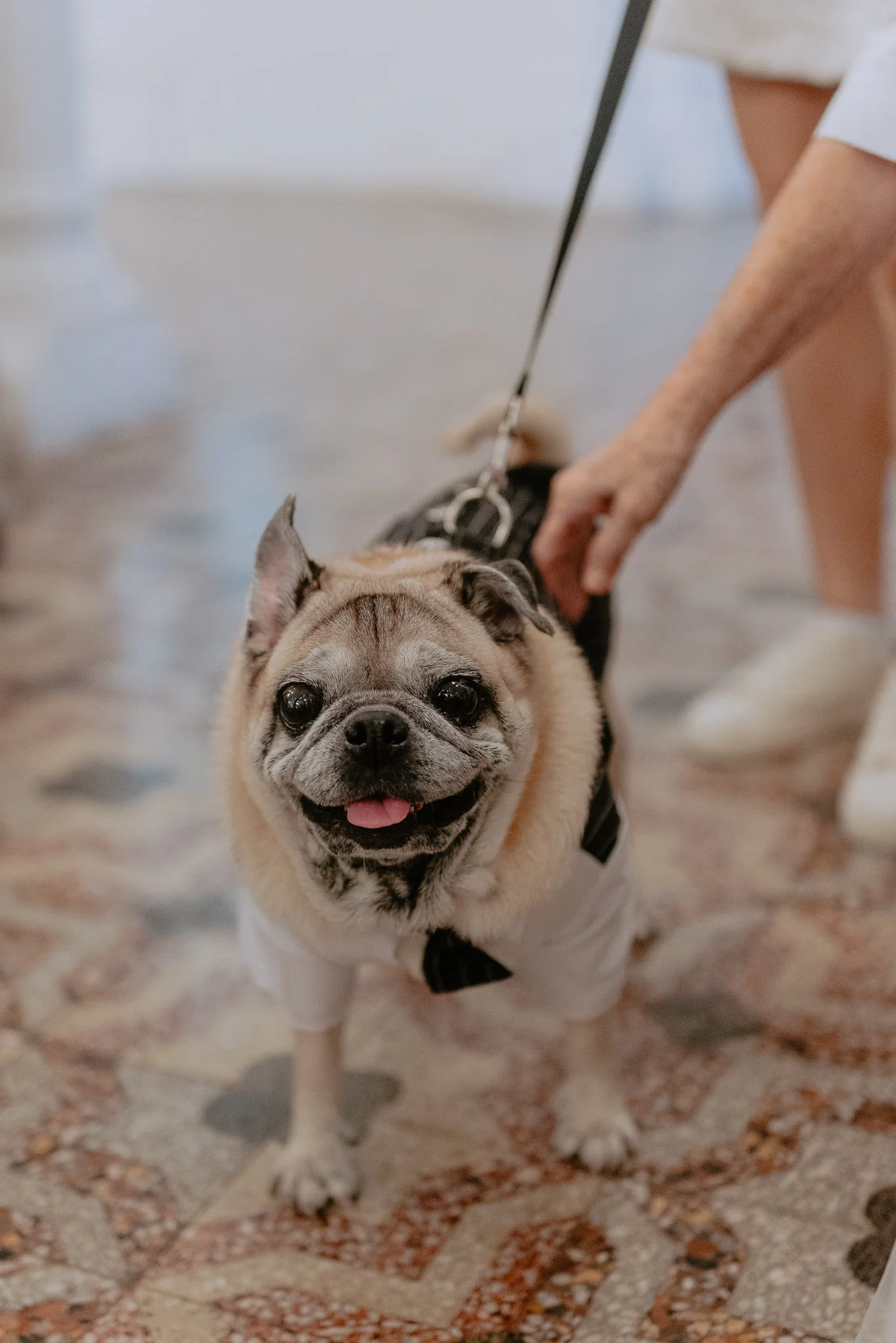 Z & X wedding photo 28