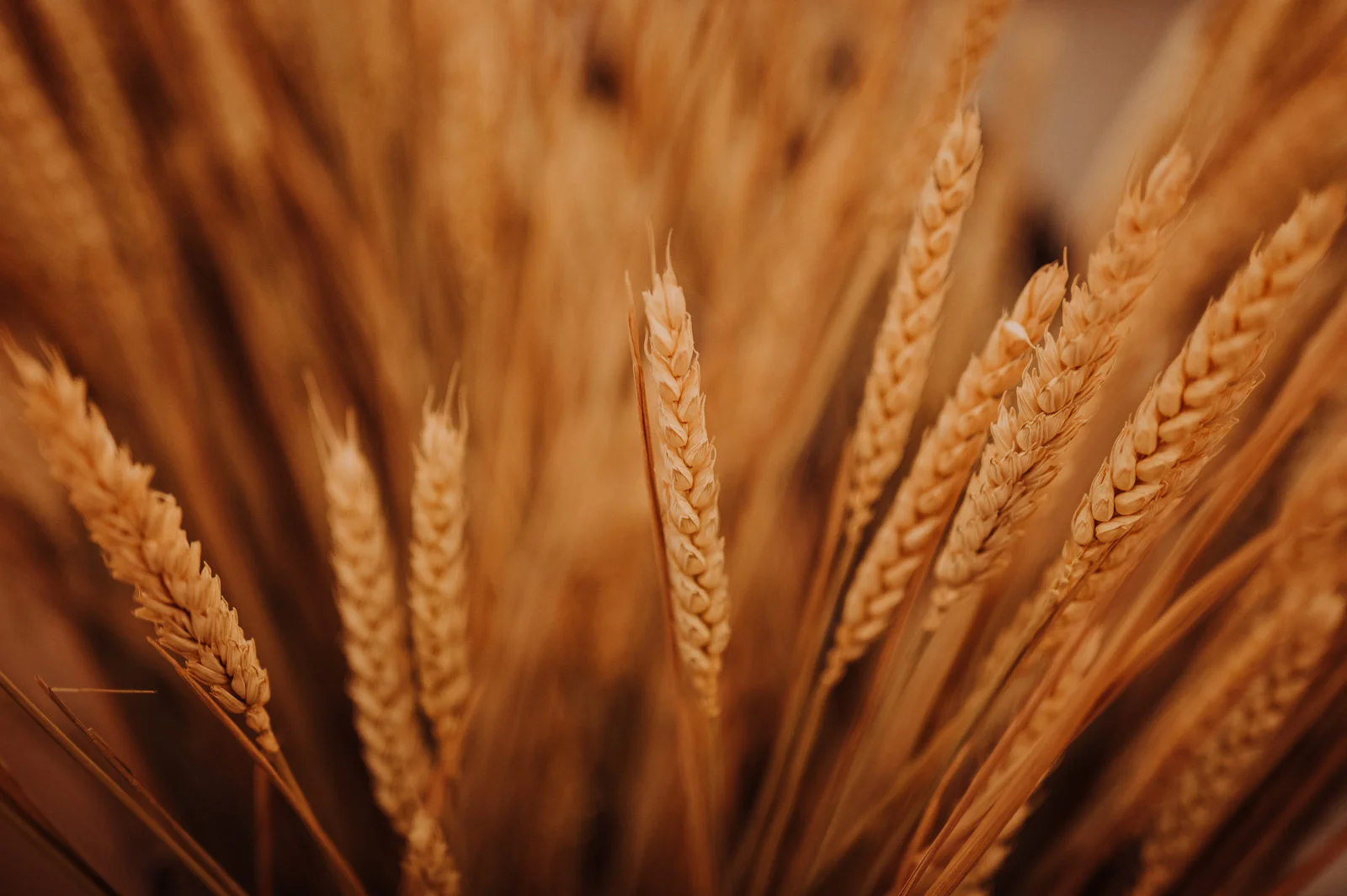 L & Y wedding photo 81