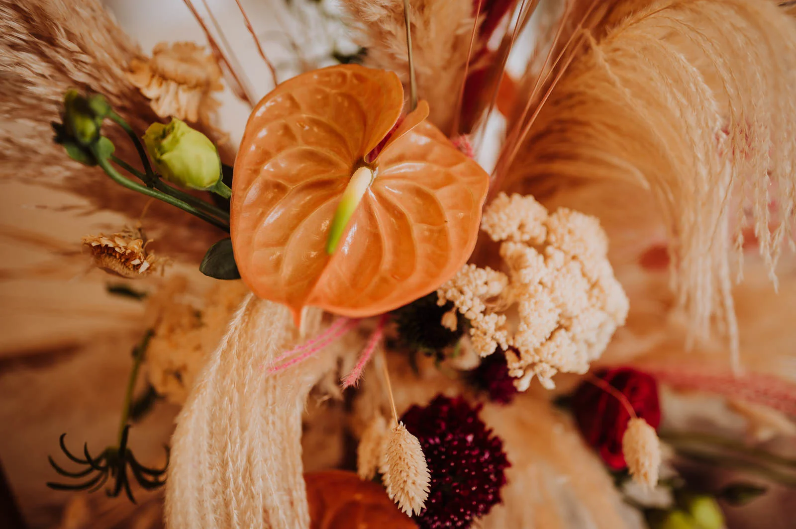 D & P wedding photo 68