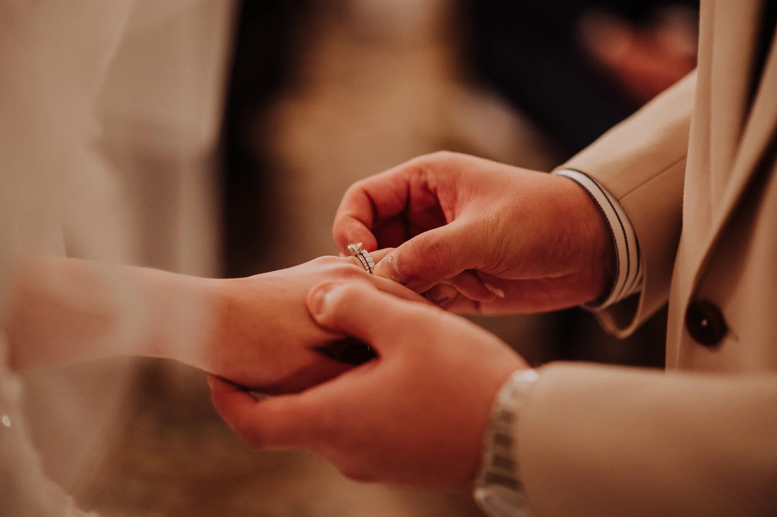 D & P wedding photo 107