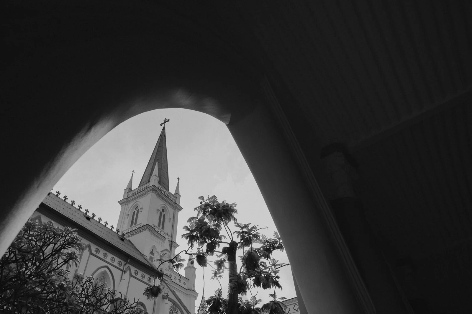 D & P wedding photo 71