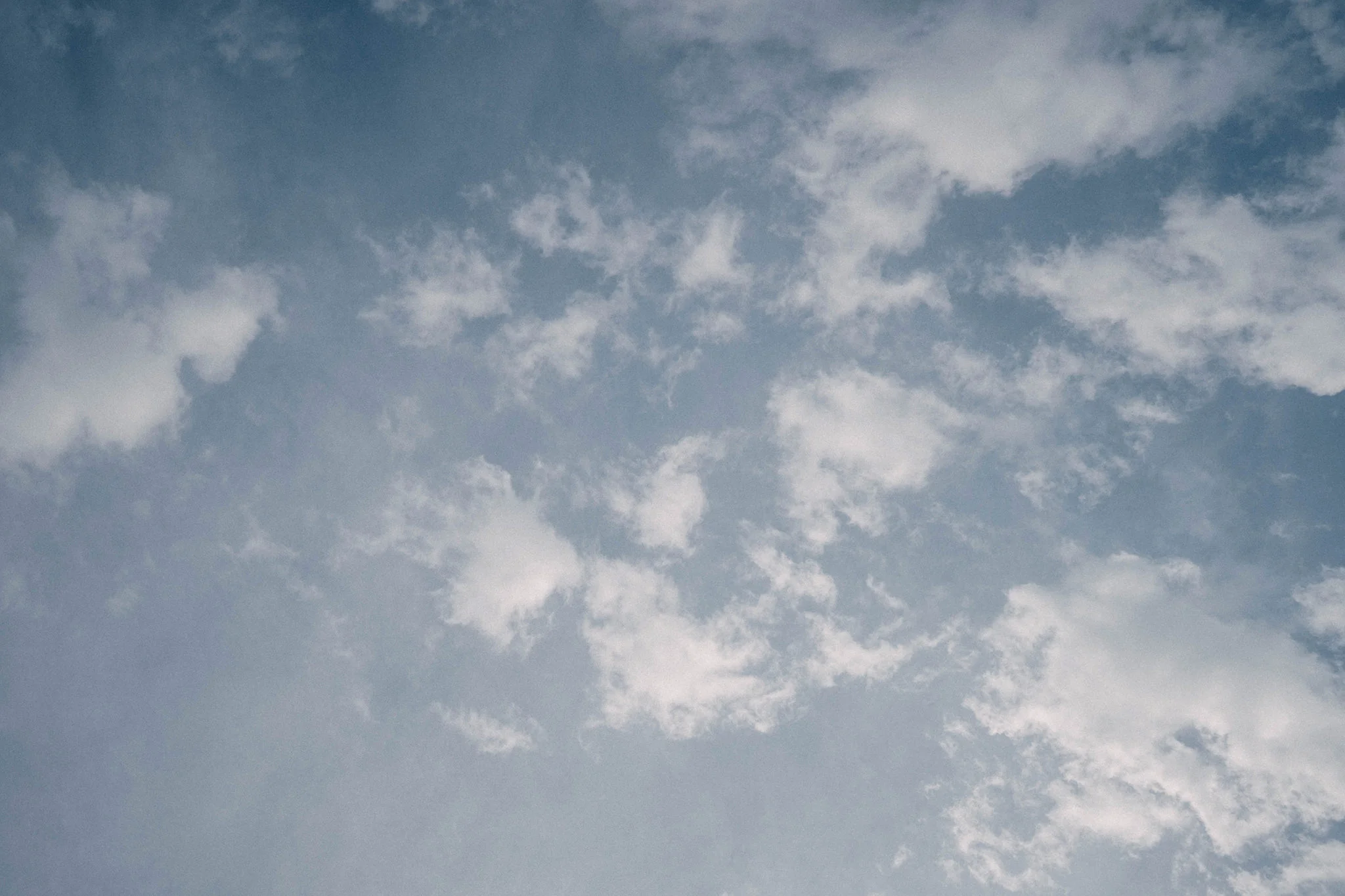 S & G wedding photo 23