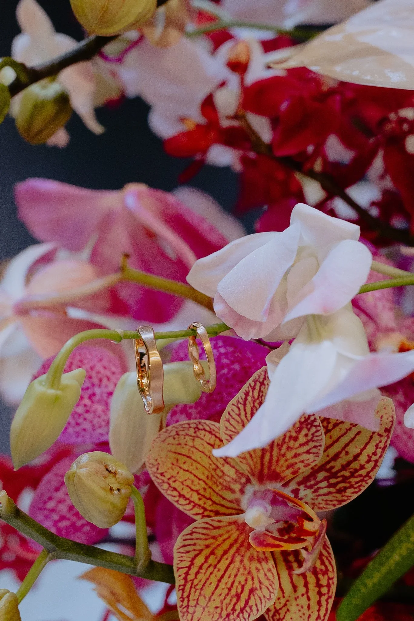 J & D wedding photo 127