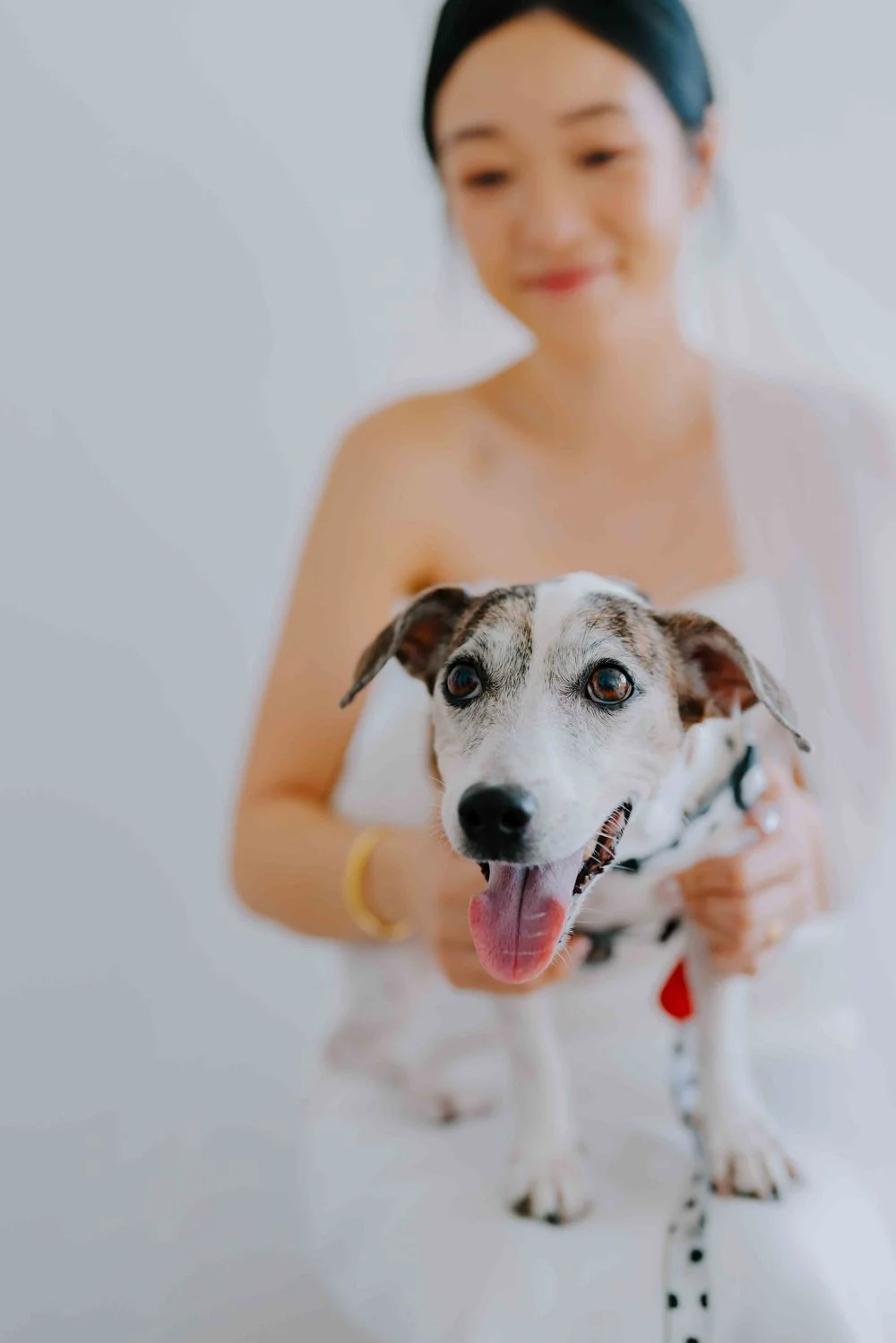 E & J wedding photo 8