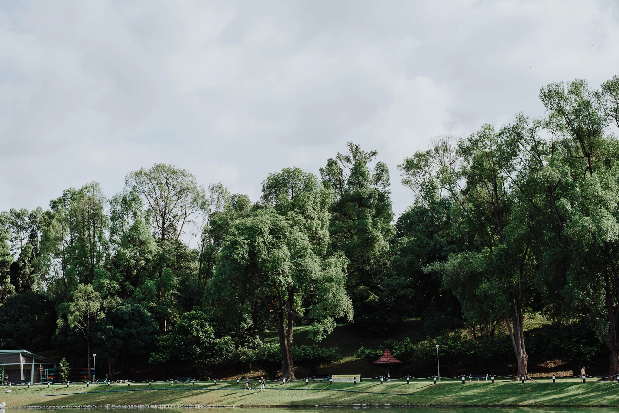 S & E wedding photo 29