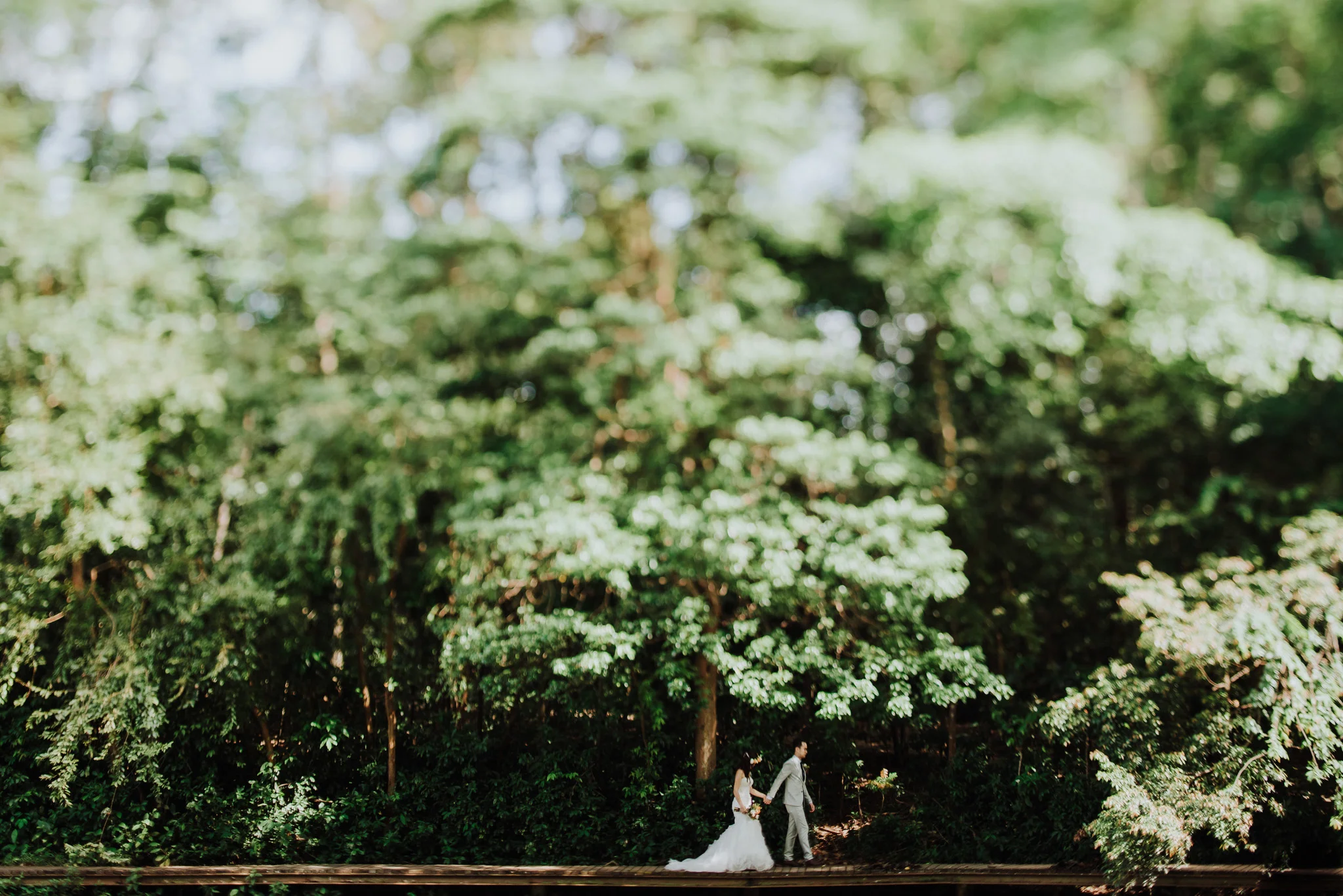 S & E wedding photo 46