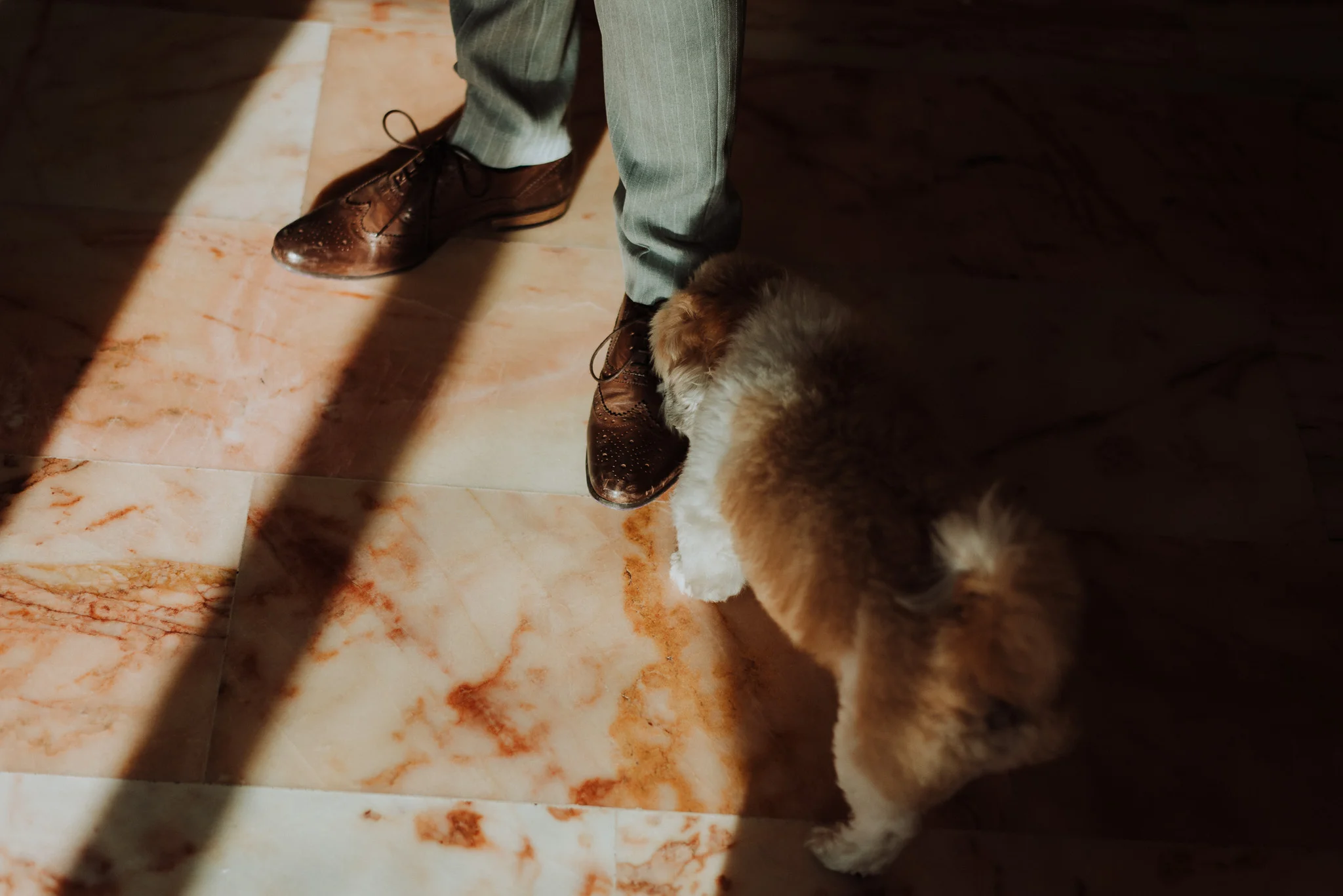 S & E wedding photo 18