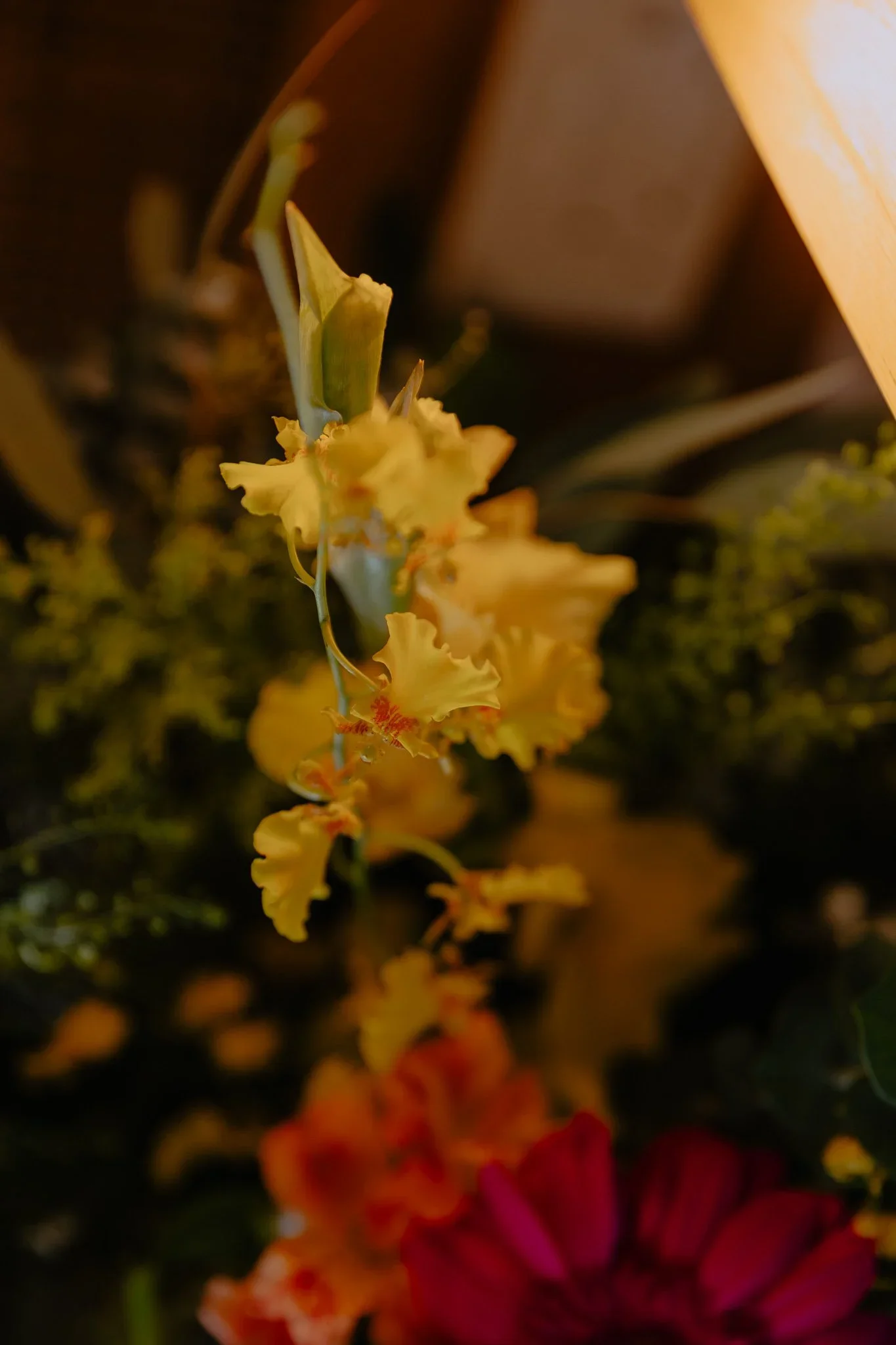 J & J wedding photo 123