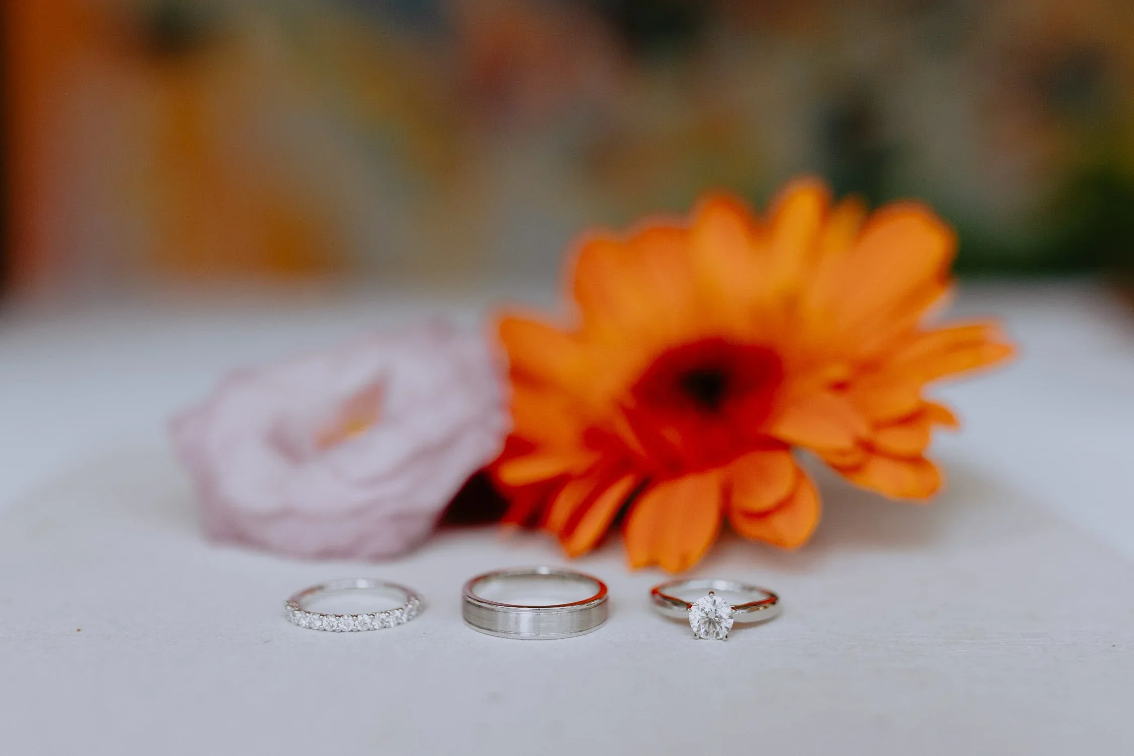 C & L wedding photo 13