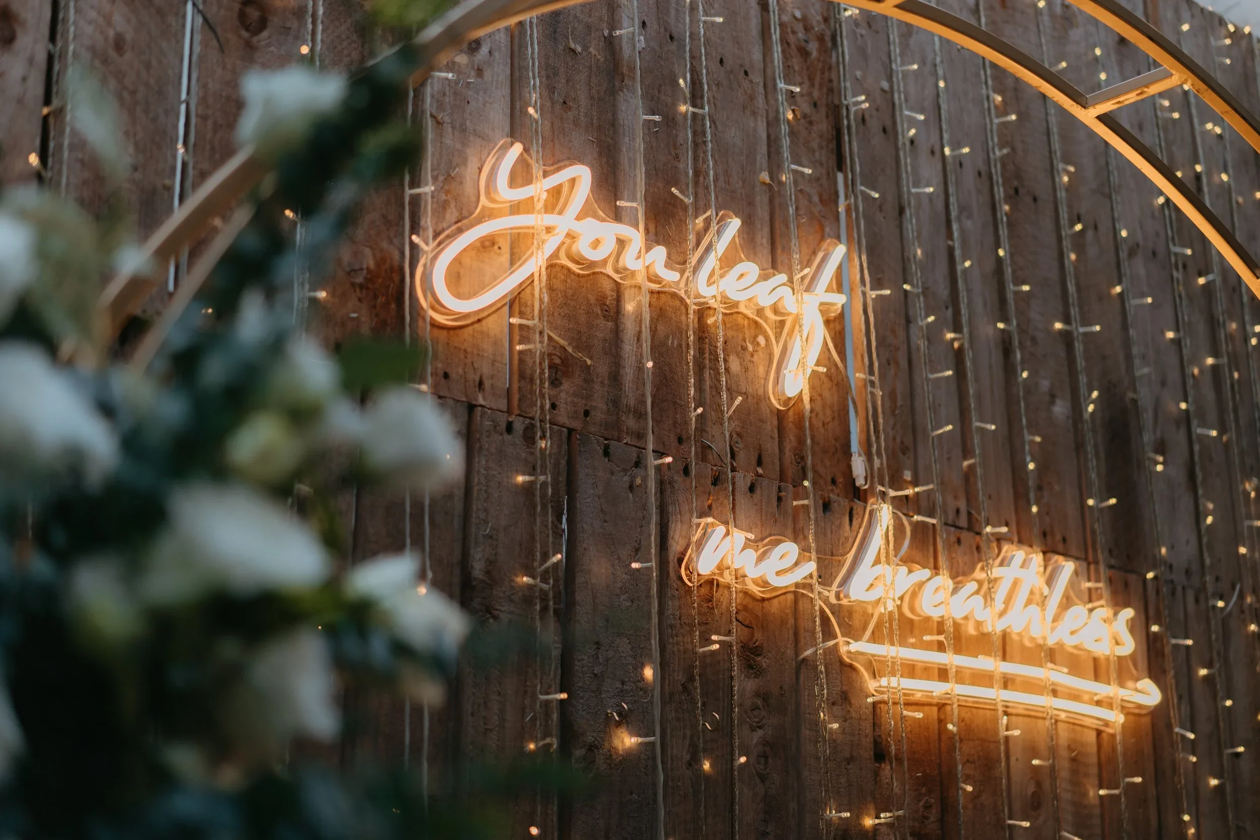 C & S wedding photo 54