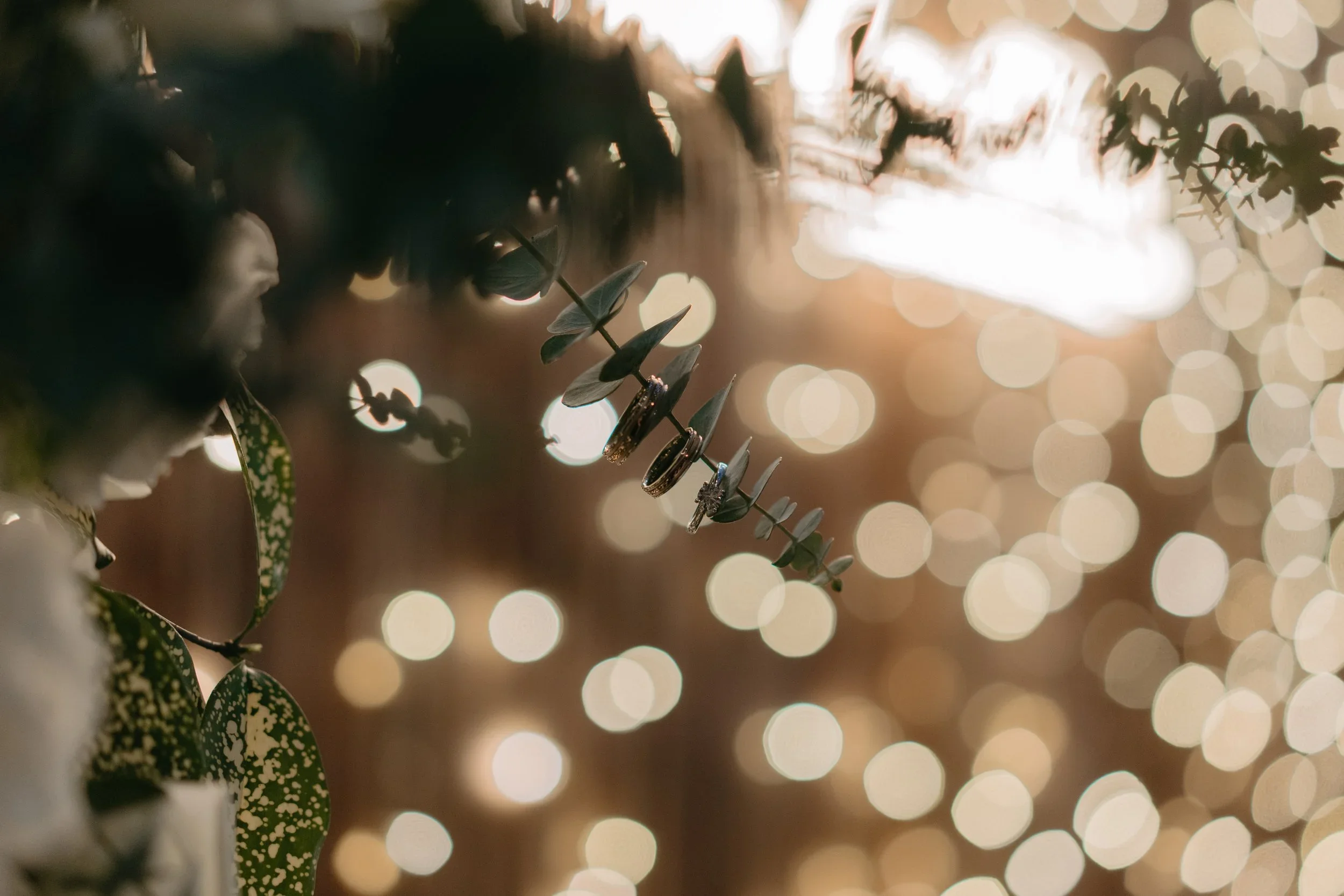 C & S wedding photo 80