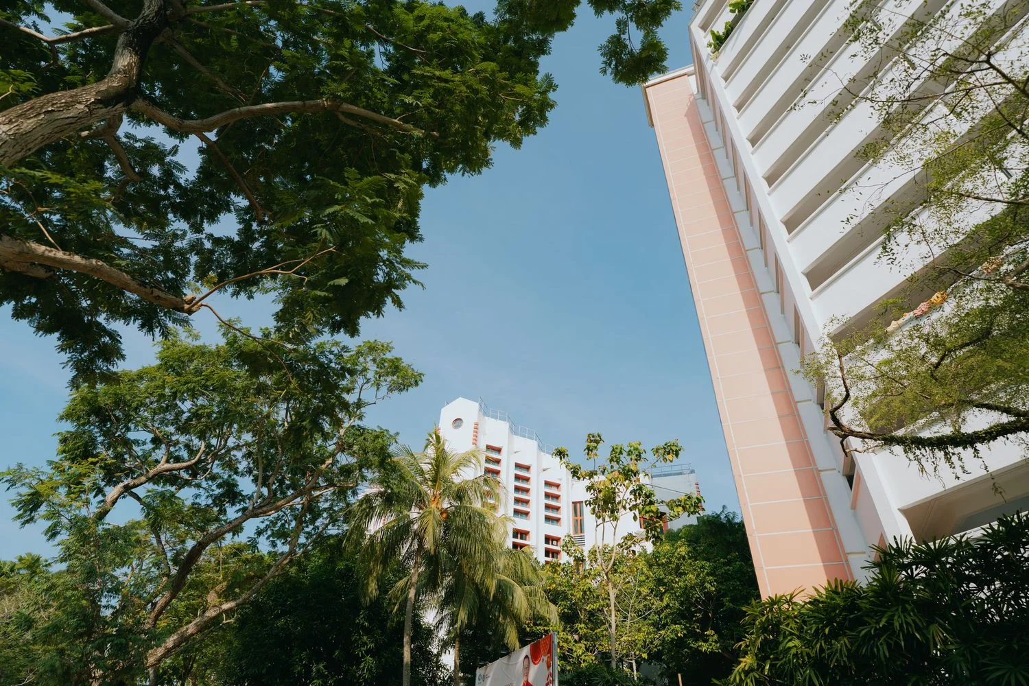 Y & C wedding photo 44