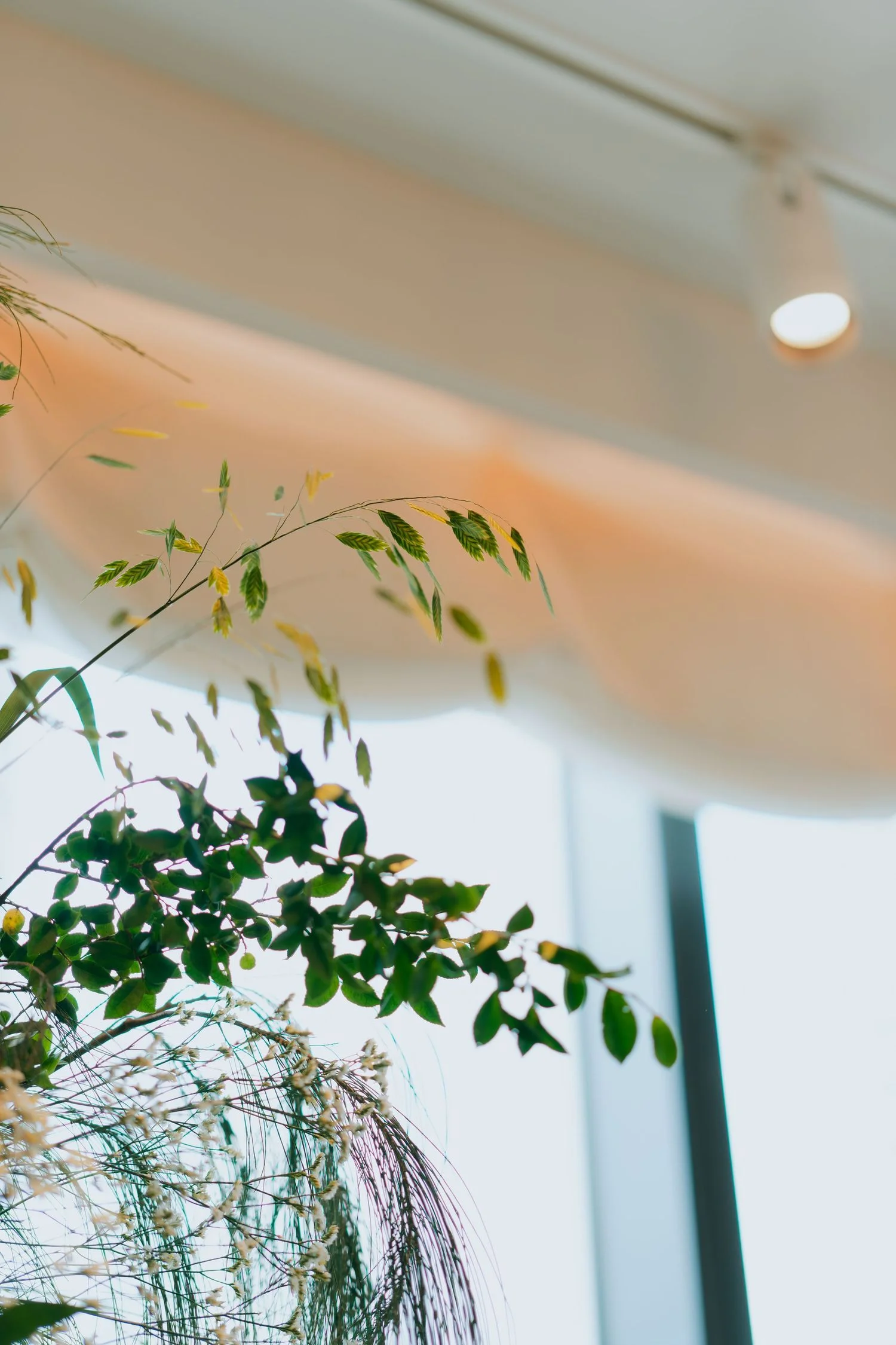 H & S wedding photo 50