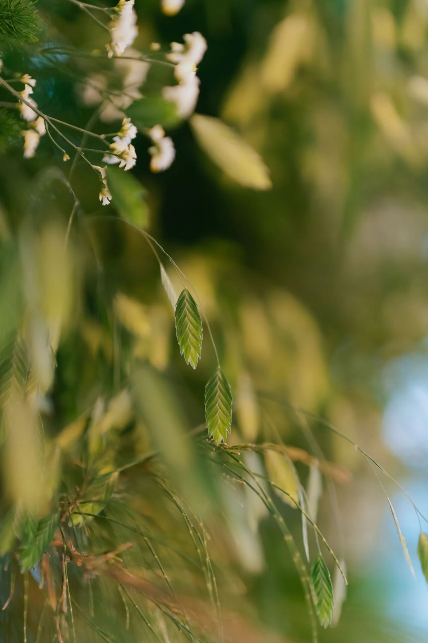 H & S wedding photo 51