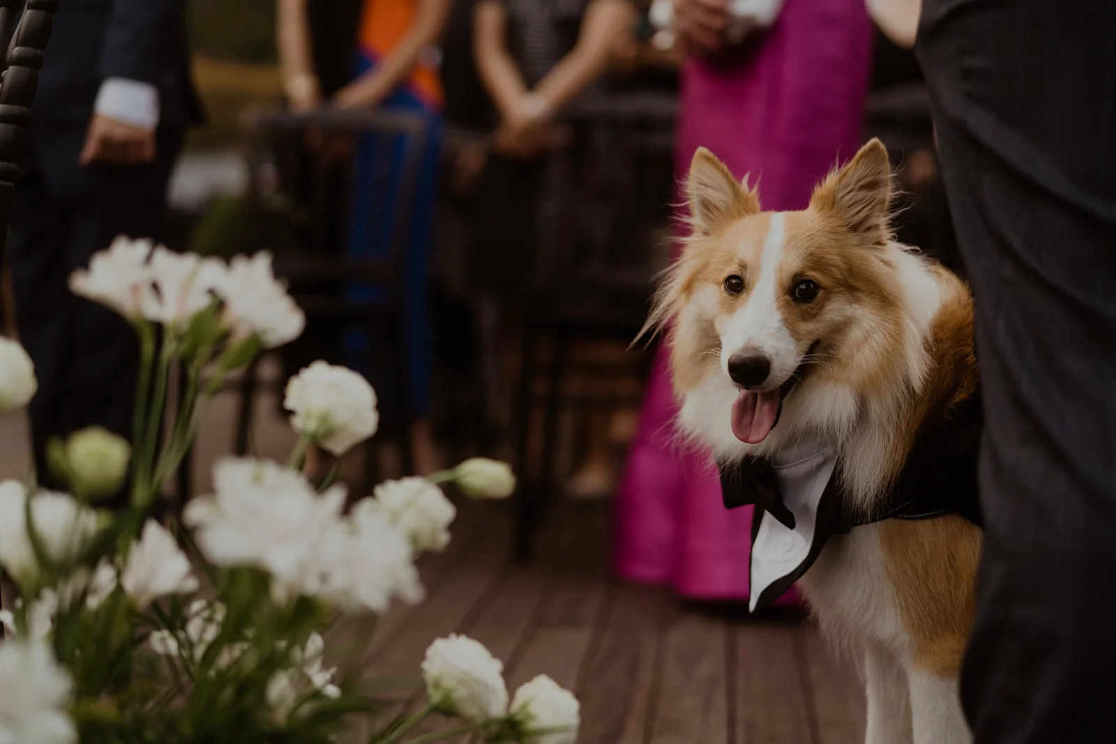 D & C wedding photo 29