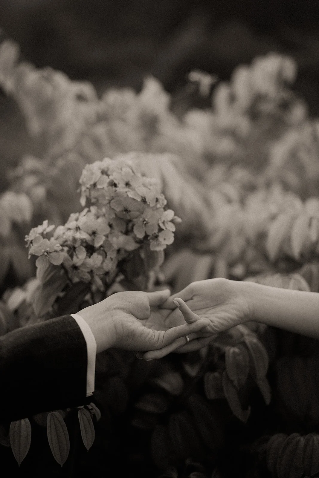 R & H wedding photo 1