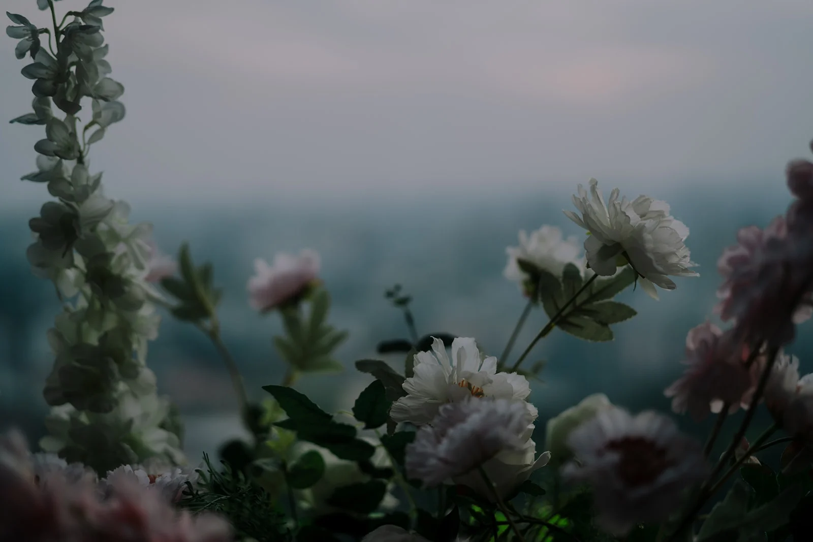 C & K wedding photo 26