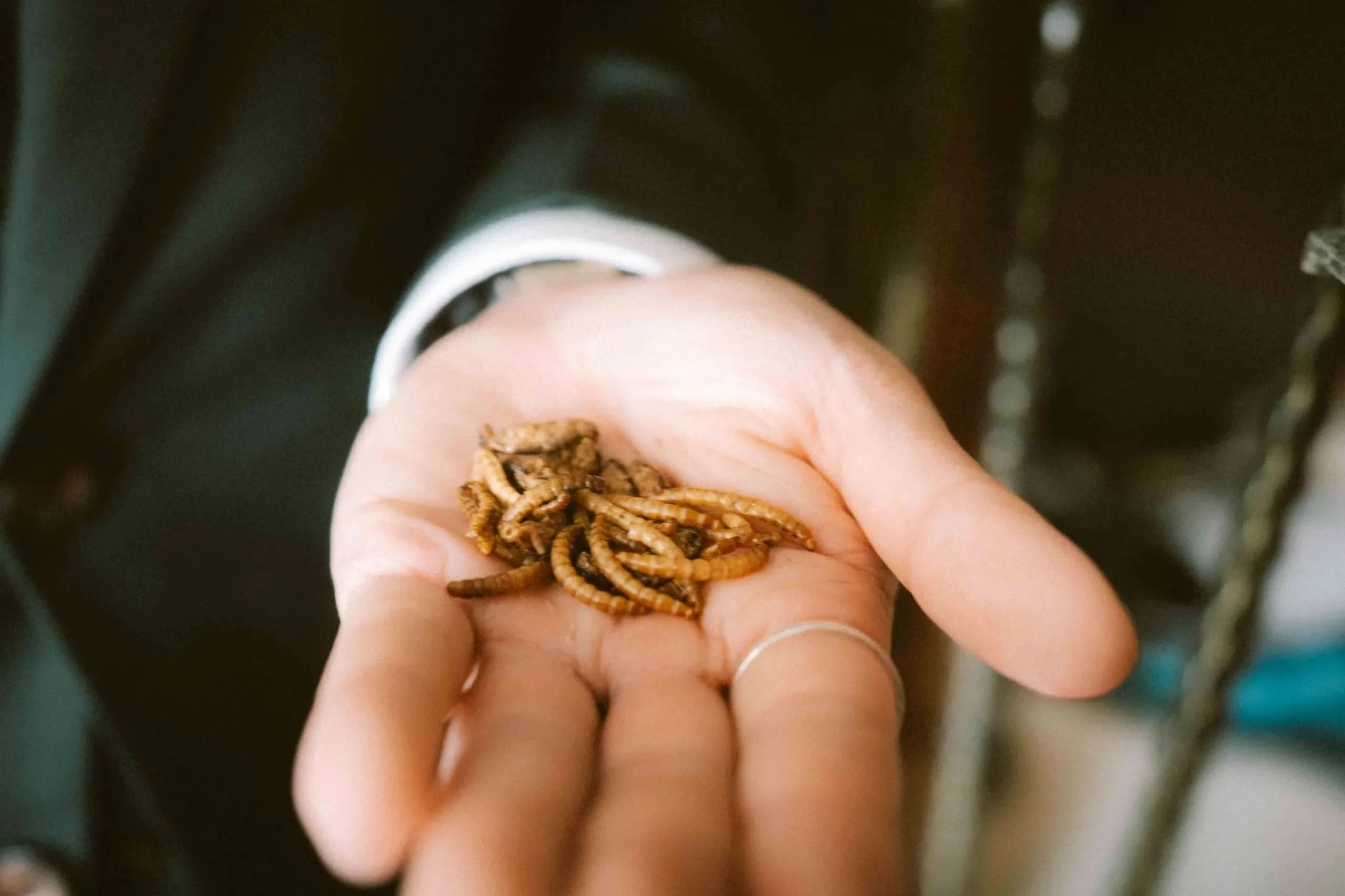 S & H wedding photo 28