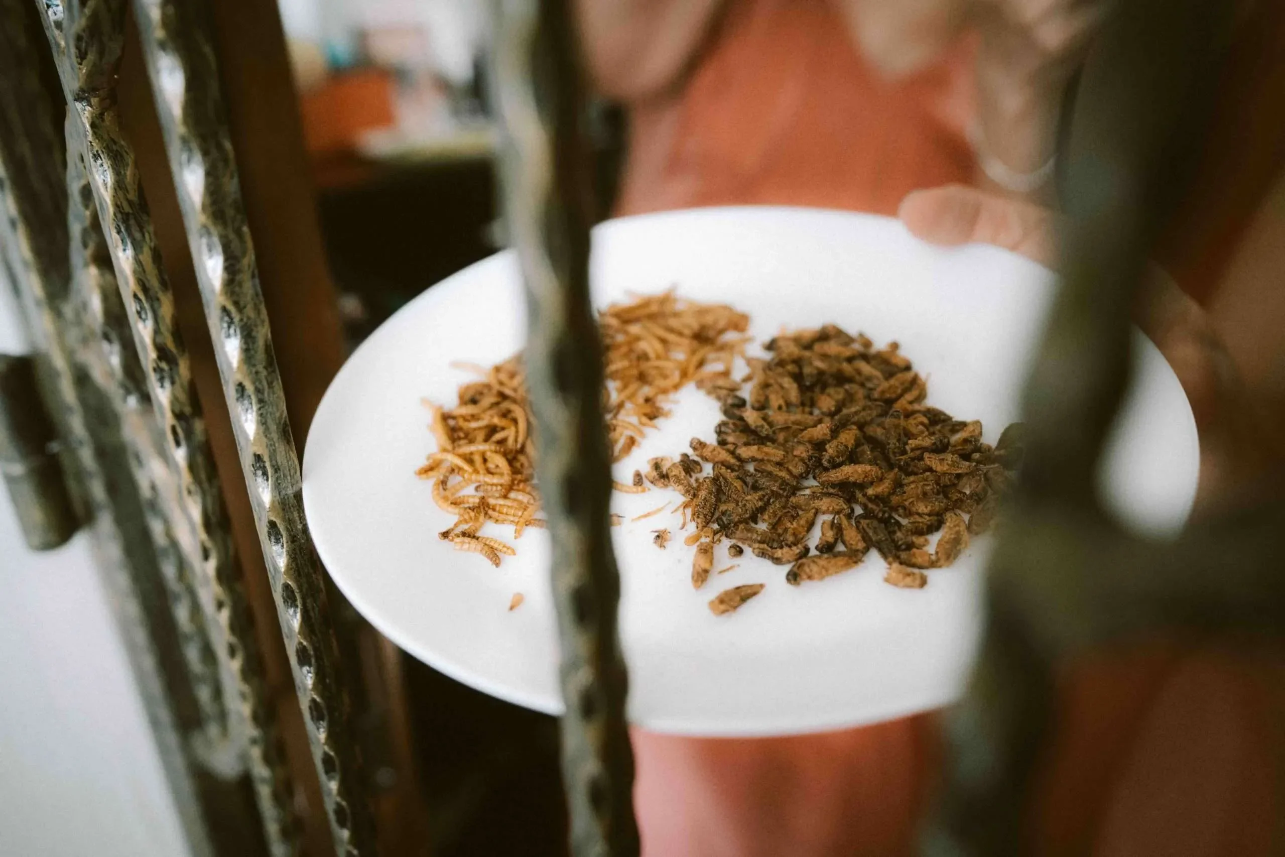 S & H wedding photo 26