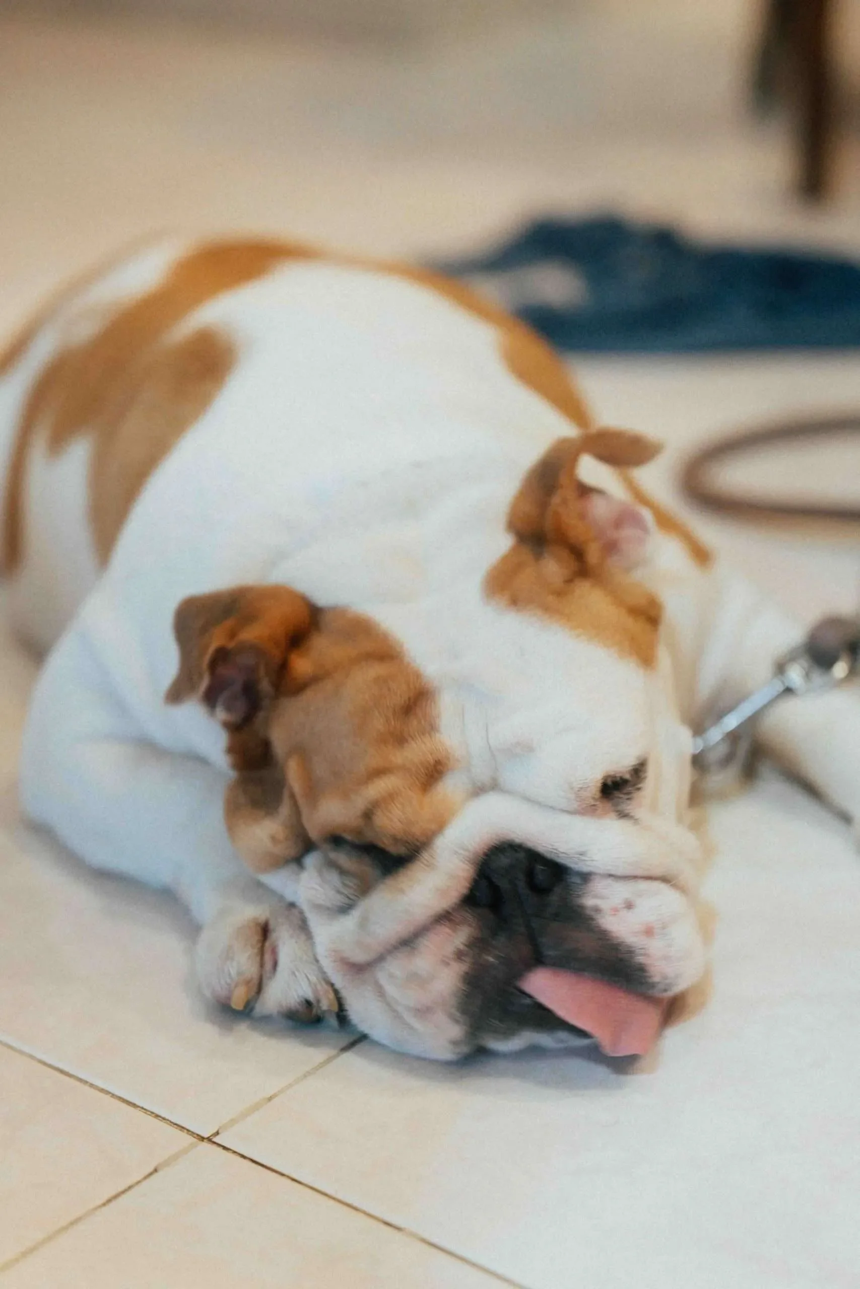 K & M wedding photo 5