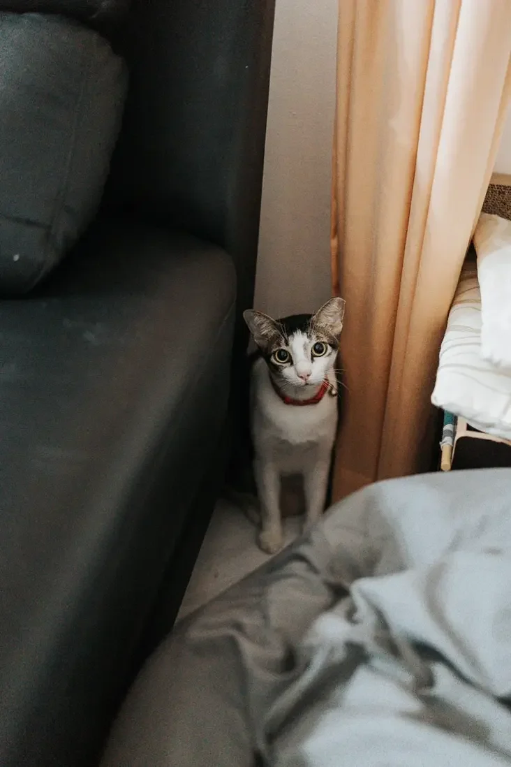 V & C wedding photo 6