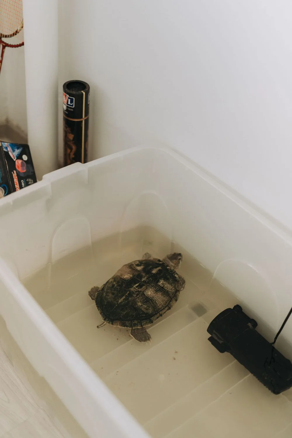 G & J wedding photo 18