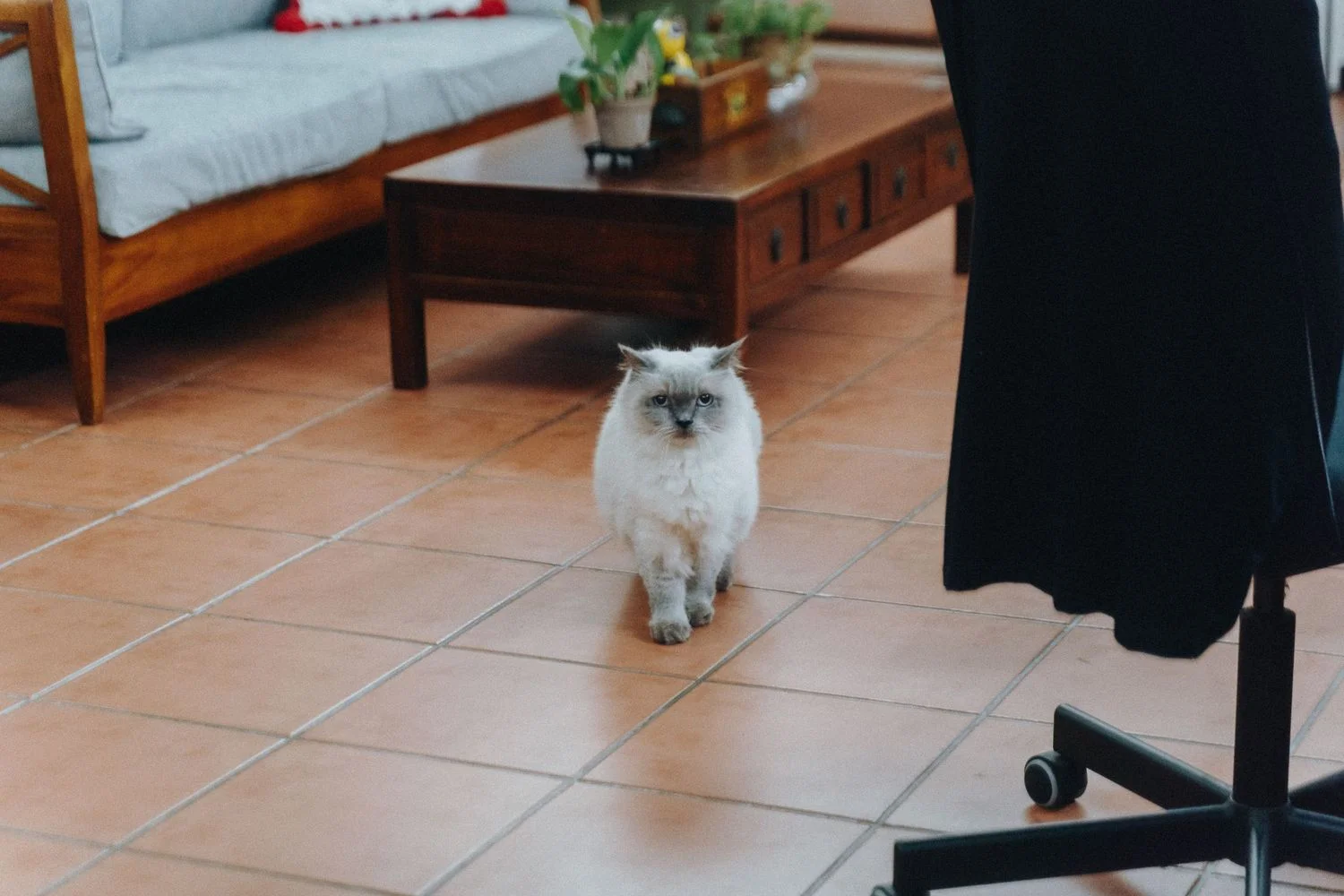 X & L wedding photo 4