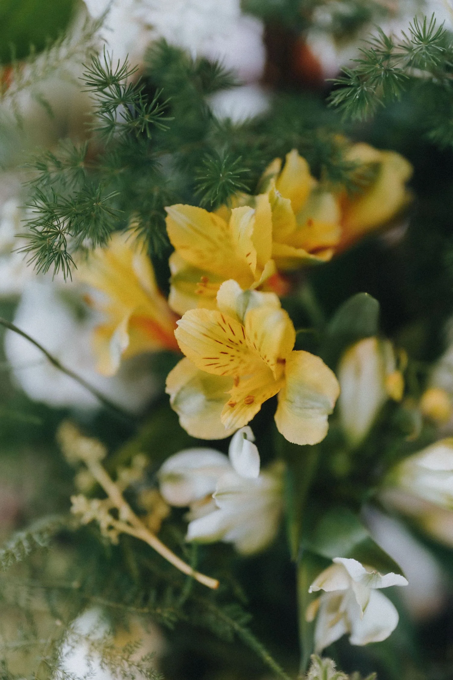 C & M wedding photo 81