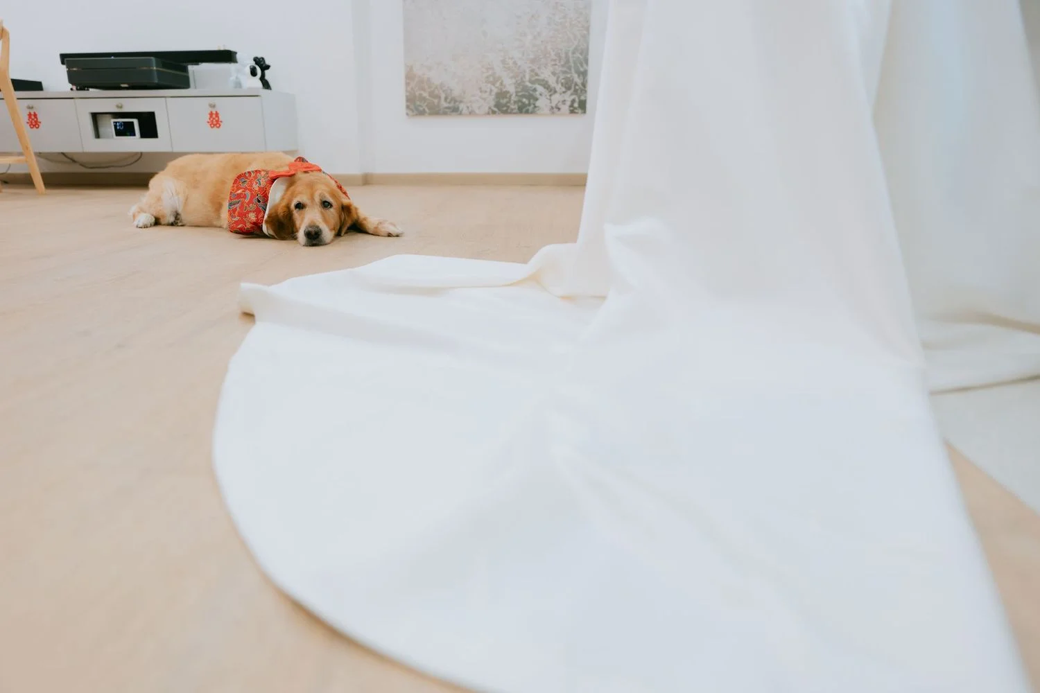 S & F wedding photo 31