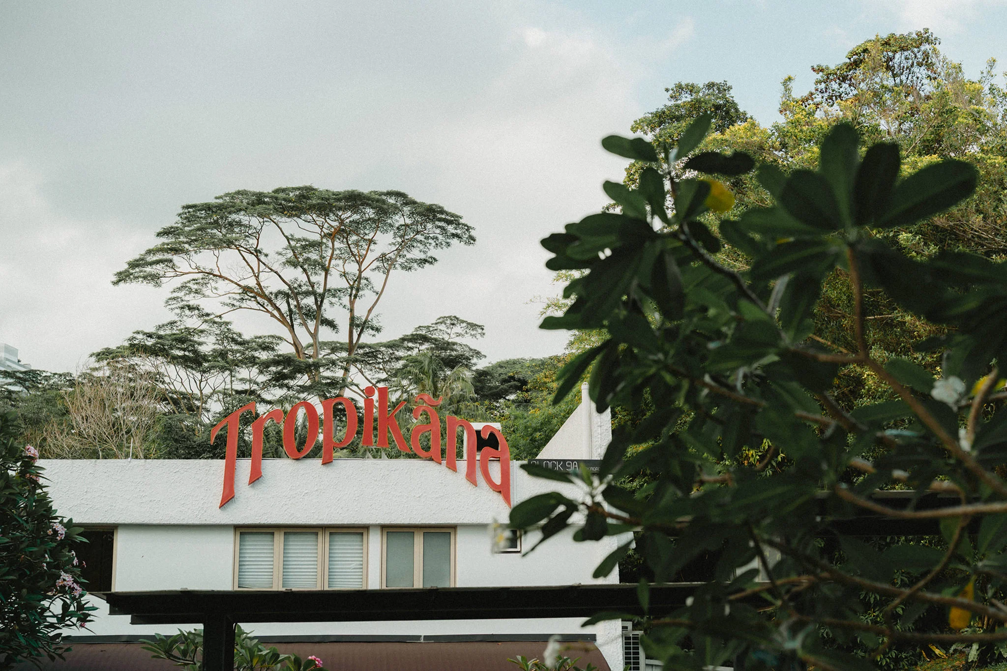 C & A wedding photo 22