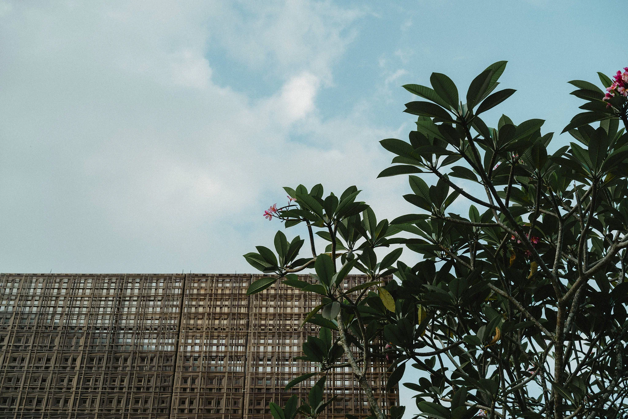 C & A wedding photo 44