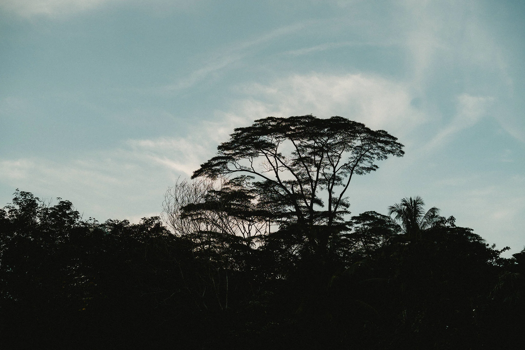 C & A wedding photo 94