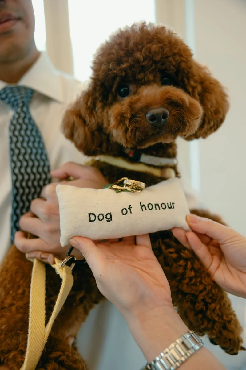 L & W wedding photo 57