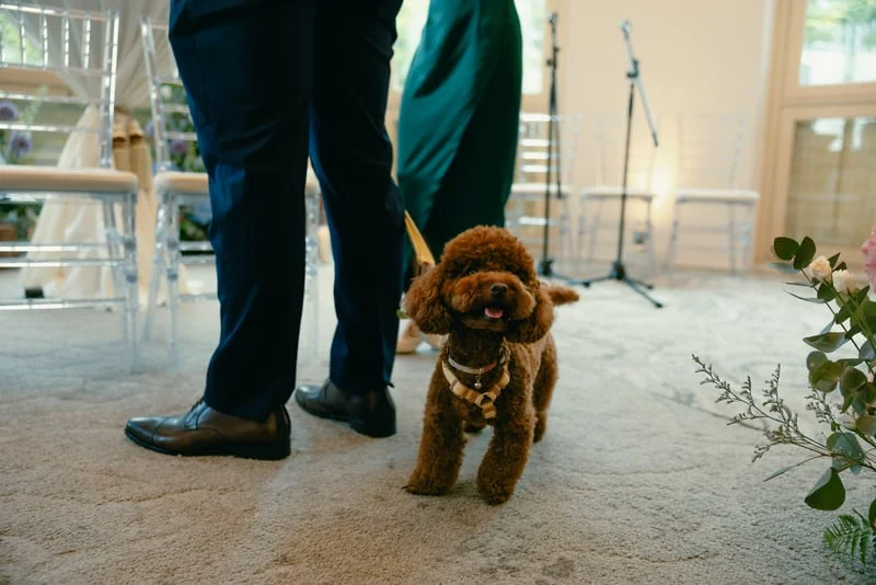 L & W wedding photo 61