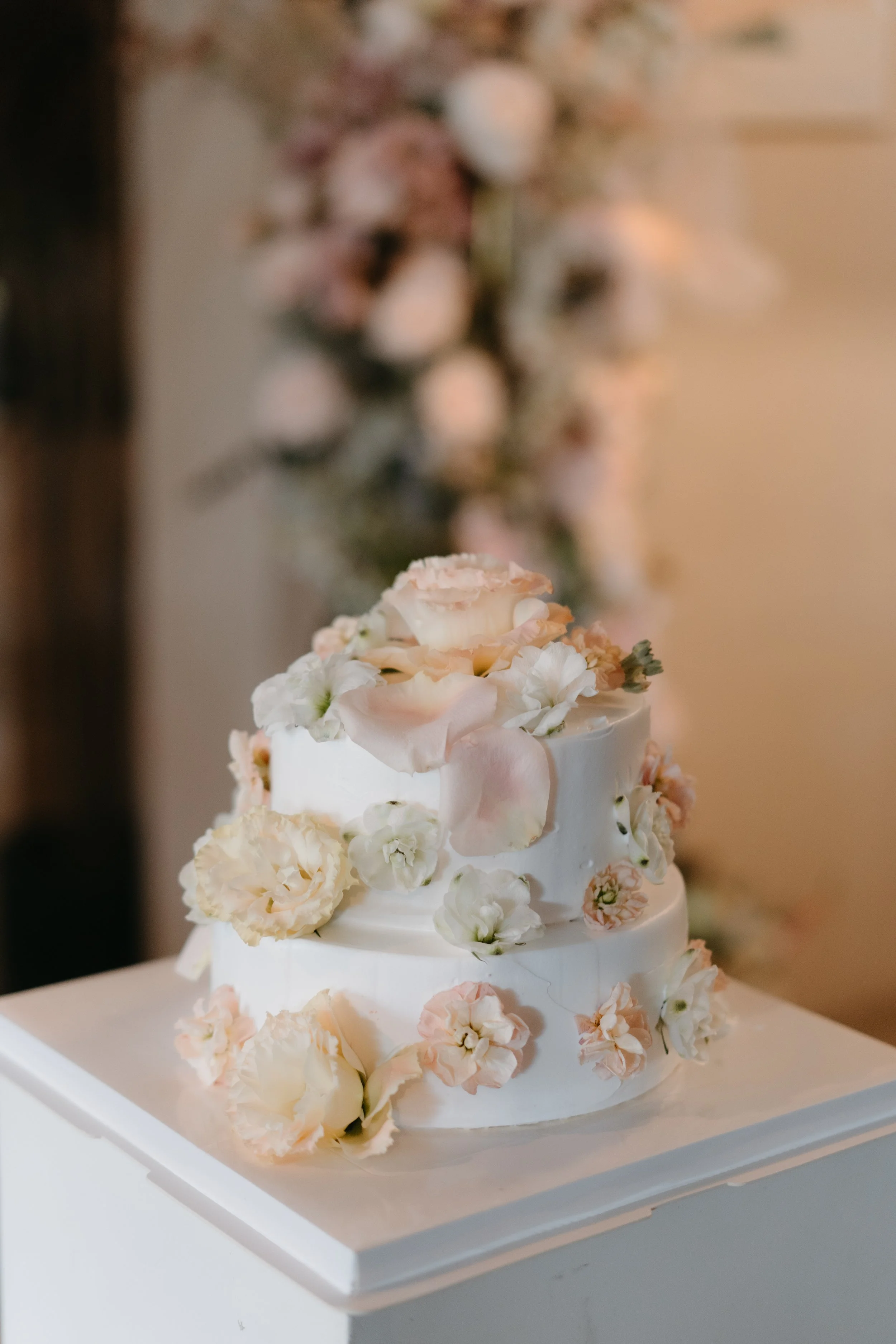 J & C wedding photo 92