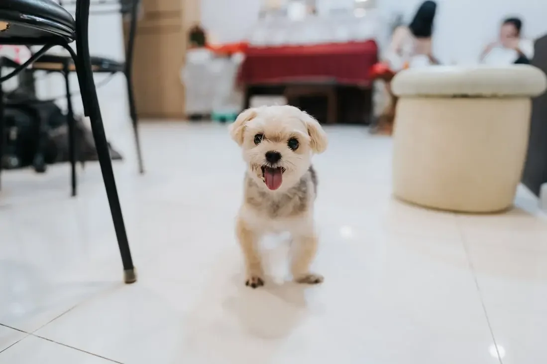 E & B wedding photo 6