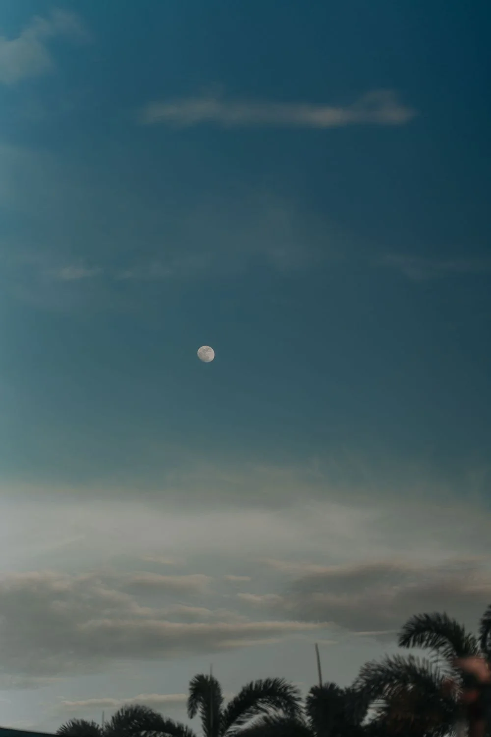 WC & R wedding photo 32