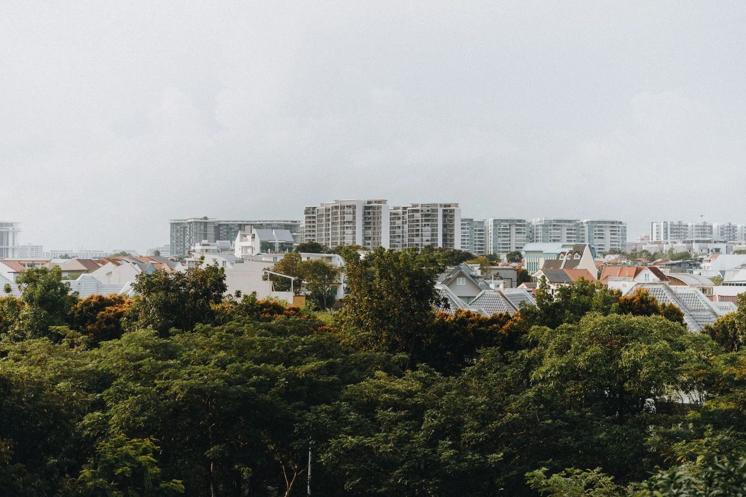 J & S wedding photo 57