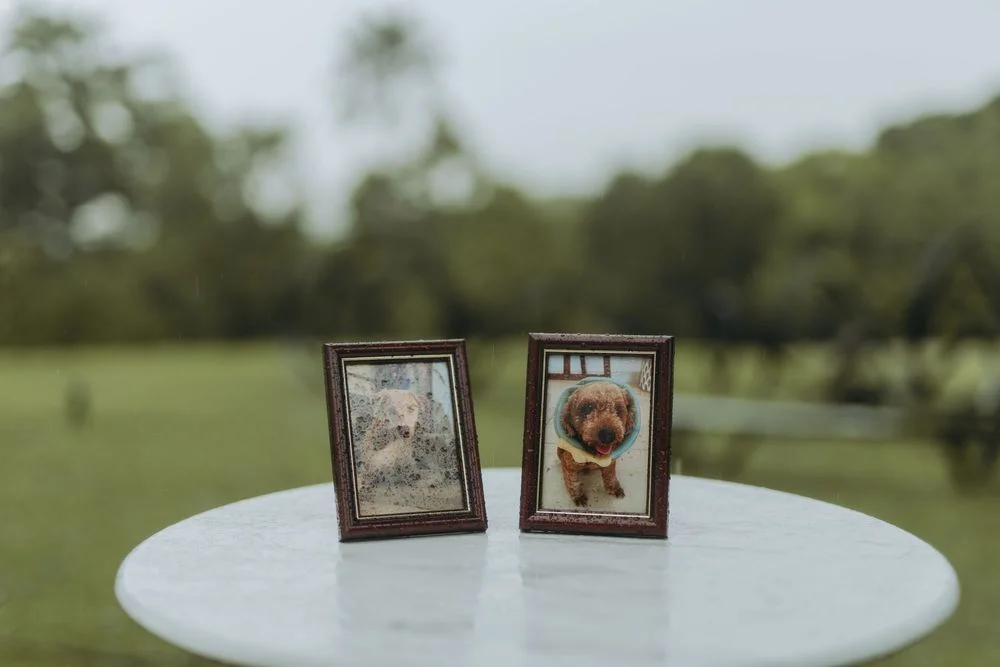 A & S wedding photo 23