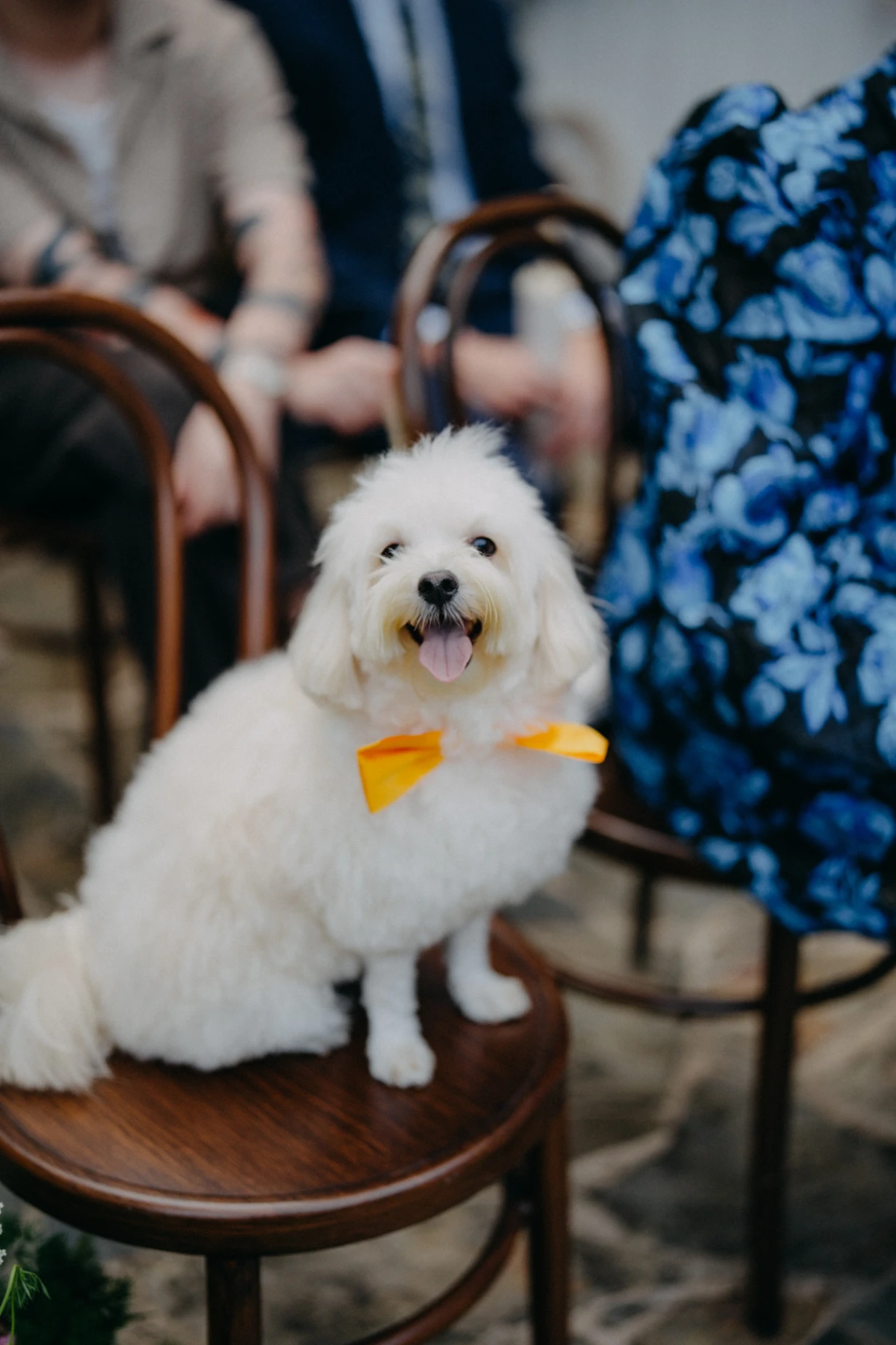 J & N wedding photo 24