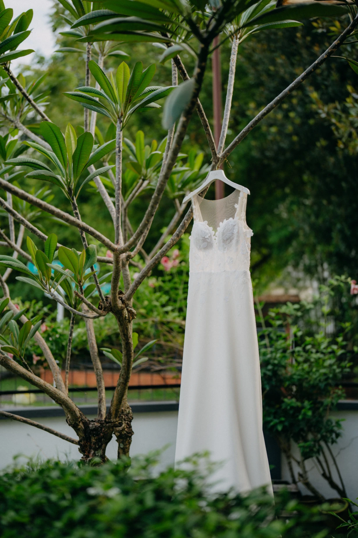 B & N wedding photo 2