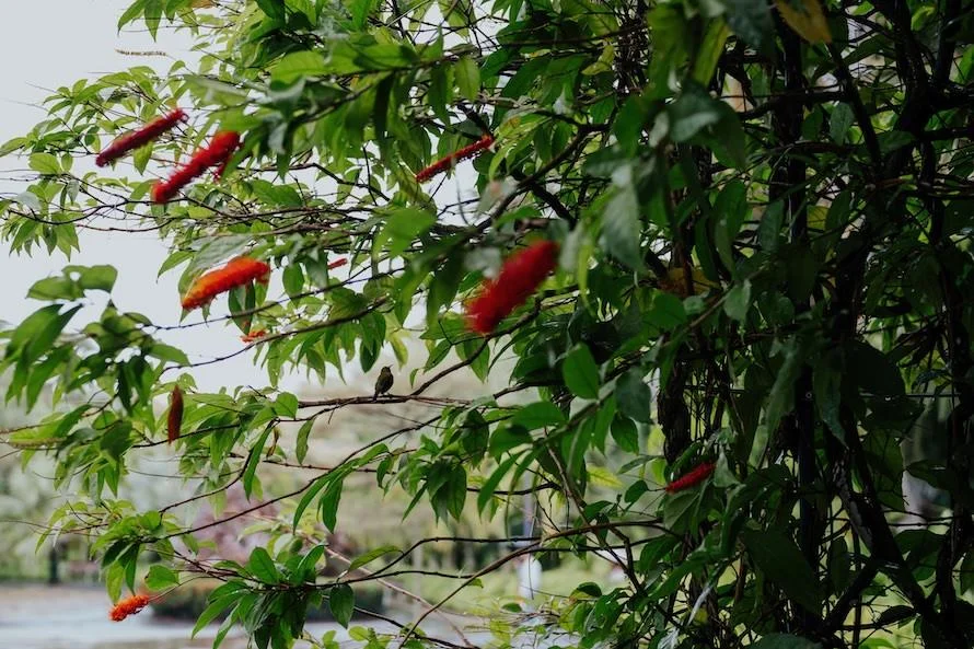 J & C wedding photo 21