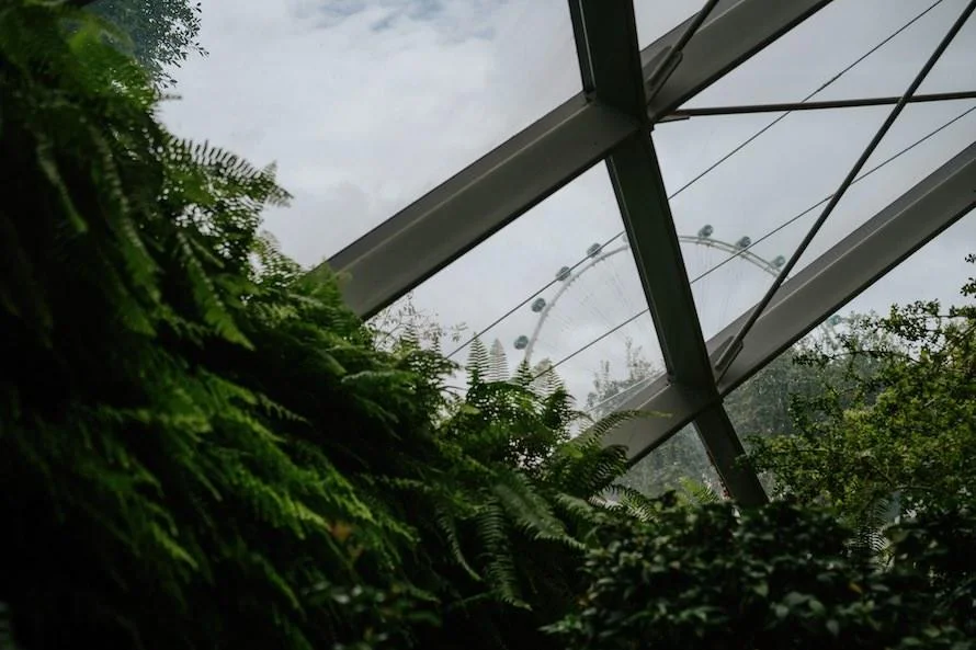 J & C wedding photo 46