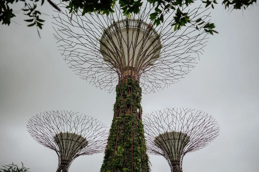 J & C wedding photo 16