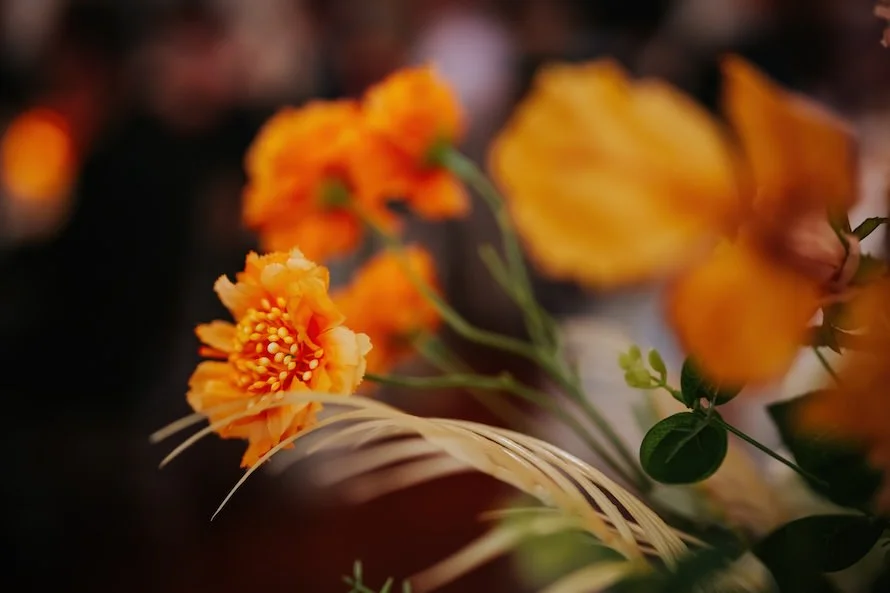 C & W wedding photo 84