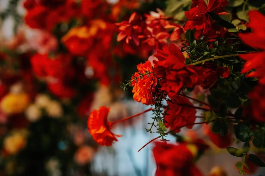 C & W wedding photo 53