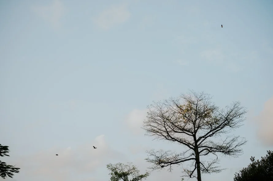 C & Z wedding photo 68